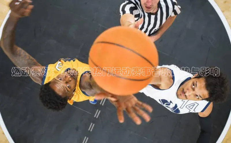 MK体育官方网站入口