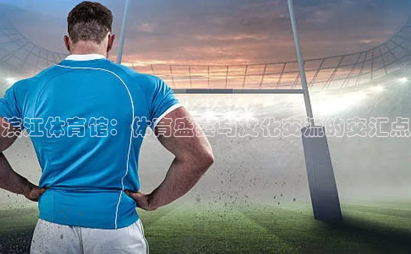 MK体育官方网站入口