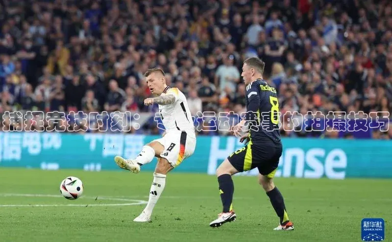 MK体育平台网页版入口