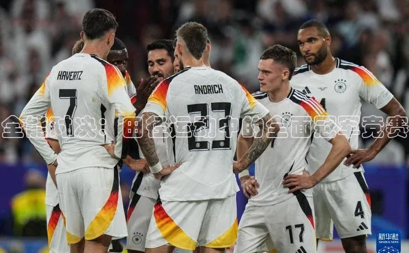 MK体育平台网页版入口