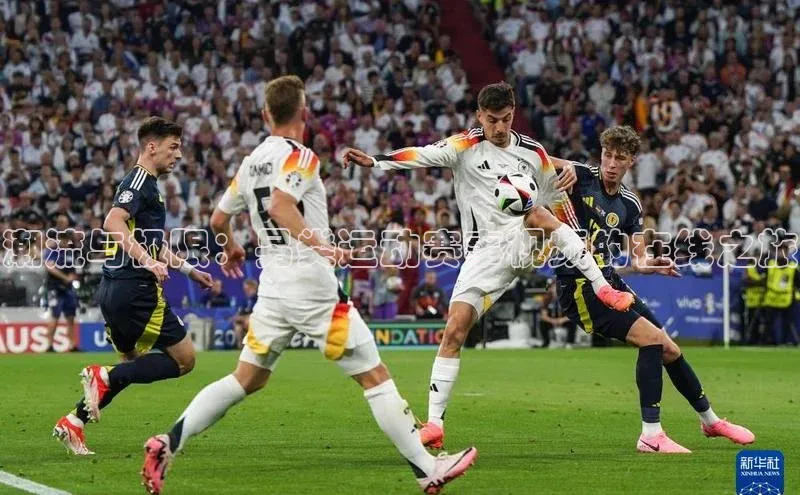 MKsport官网下载入口