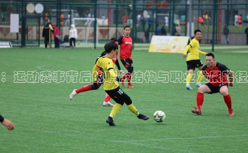 mk体育官网入口