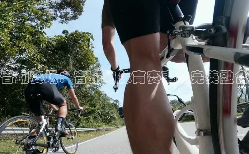 MK体育平台网页版入口