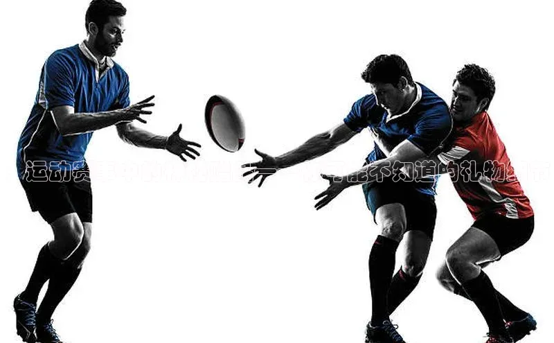 MK体育平台网页版入口